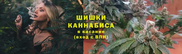 МДПВ Навашино