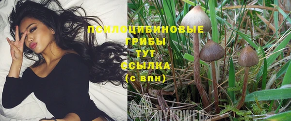 герыч Надым