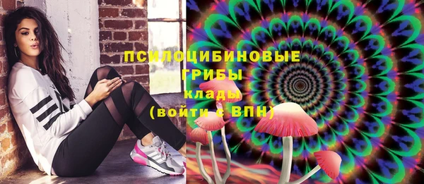 МДПВ Навашино