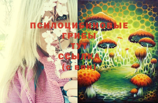 MESCALINE Богородицк