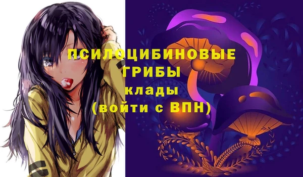 ГАЛЛЮЦИНОГЕННЫЕ ГРИБЫ Наволоки