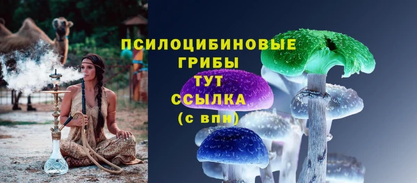 МДПВ Навашино