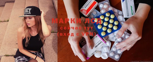 ГАЛЛЮЦИНОГЕННЫЕ ГРИБЫ Наволоки