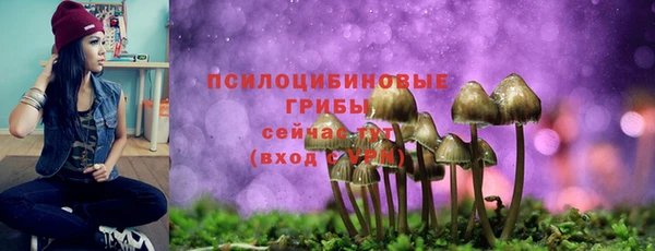 MESCALINE Богородицк