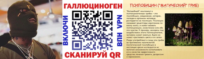 Галлюциногенные грибы Magic Shrooms  сайты даркнета наркотические препараты  Новоузенск 